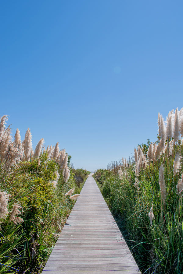 Oceanfront Rentals callout